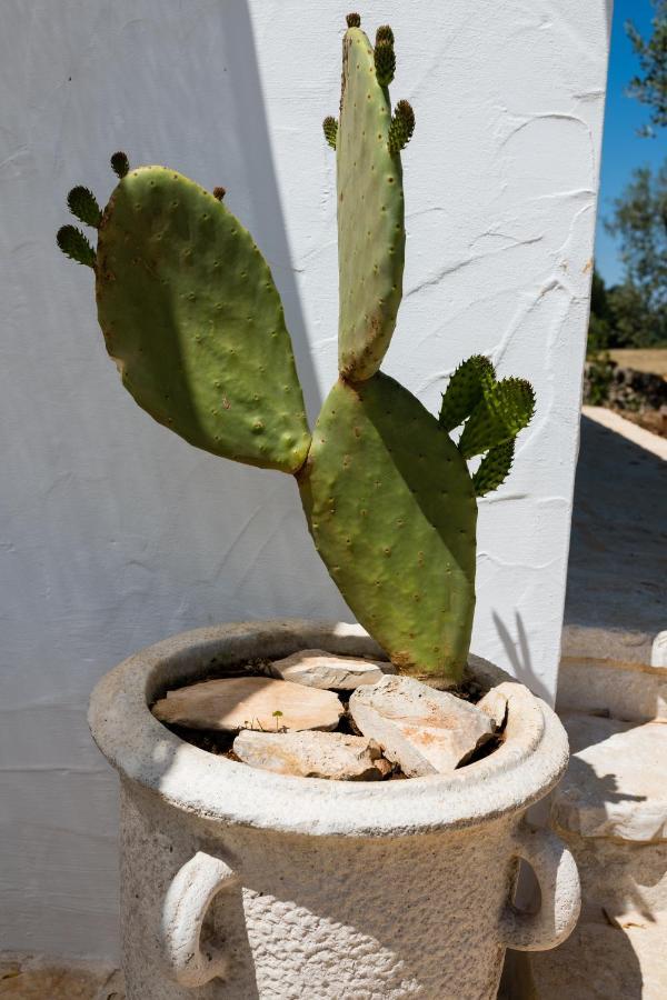 Il Trullo Della Rondinina Villa Alberobello Exterior photo